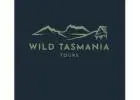Discover Backpacker Tours Tasmania