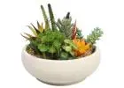 Grab These Stunning Artificial Succulents and Orchids at Wholesale Prices