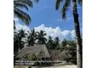 Mentawai Resorts