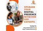 Upgrade Your Digital Presence With Our SEO Experts