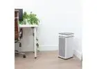 Enhance Workspace Air Quality with Medify Air Commercial Air Purifier