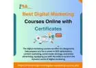 Best Data Science Courses Online with Certificates