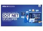 What is the scope of .net developer