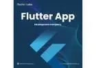 Ingenious Flutter App Development Company in California - iTechnolabs