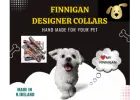 Products Every Pet Needs
