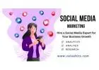 Hire a Social Media Expert for Your Business Growth