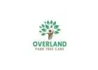Overland Park Tree Care: Your Local Tree Service Expert | Call