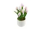 Stunning Range of Artificial Plants Sydney for Homes