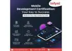 Live Online Software Development Courses | infyni