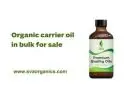 Know The Power Of Natural Organic carrier oil in bulk for sale
