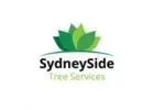 Expert Tree Stump Removal Services in Sydney: SydneySide Tree Services