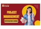 Next-Level Skills: Business Analytics and Project Management Certification for Professionals