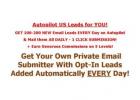 How People Are Getting Daily 100-200 Leads All For Only $1.00 Per Day!