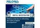 Pelorus | digital investigation