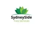 Tree Pruning Sydney: Invest in Your Landscape's Beauty with Professional Care