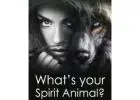 Seeking Spiritual Guidance: Connect with Animals and a Healer Nearby【✚２７７２５７７０３７６】