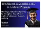 Top Reasons to Consider a PhD in Anatomy Program