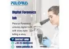 Pelorus | Digital Forensics lab