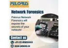 Pelorus | Network Forensics