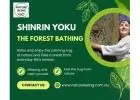 Shinrin Yoku: The Healing Power of Forest Bathing