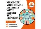 Maximize Your Online Visibility With Expert SEO Services