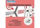 Pelorus | Certified Forensics Expert