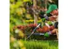 Professional Ancaster Landscaping Services