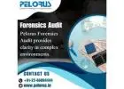 Forensics Audit | Forensic Consultant