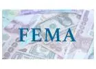 Best FEMA Consultants