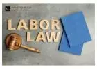 Labour Lawyer in Toronto