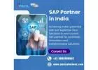 SAP Partner in India