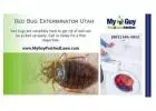 Eliminate Bed Bugs Fast! Expert Exterminator Services in Utah - My Guy Pest and Lawn